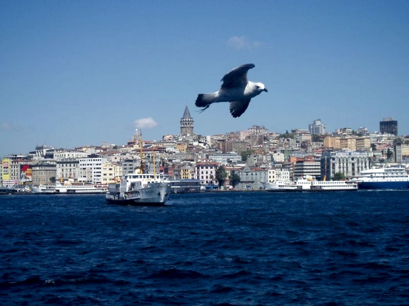Vapurdan Karaköy & Galata - Rıza Eker