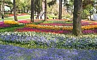 İstanbul’da Güzel Havalar