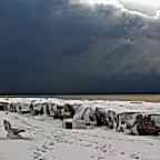 © Abdullah Agah Öncül