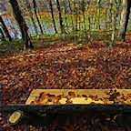 © Abdullah Agah Öncül