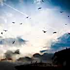 © Karina Turchanova