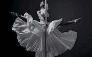 Estetik ve Fit Bir Vücut Yaratan Polo Dance