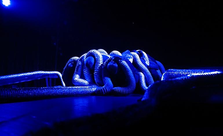 Filler ve Karıncalar